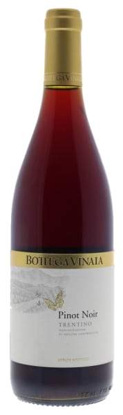 Bottega Vinaia Pinot Noir 2016 Online