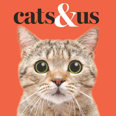 Cats & Us Cheap