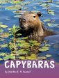 Capybaras Fashion