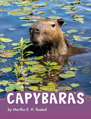 Capybaras Fashion