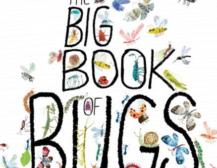 Big Book of Bugs, The Fashion