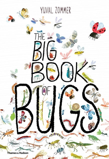 Big Book of Bugs, The Fashion