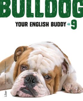 Bulldog - Your English Buddy 9 For Sale