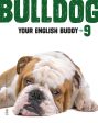 Bulldog - Your English Buddy 9 For Sale