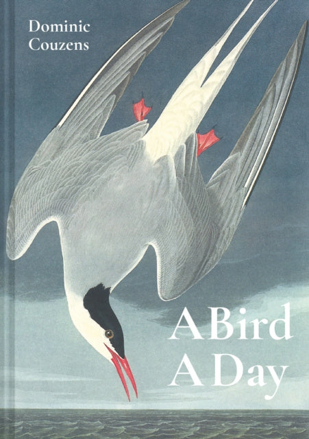 Bird A Day, A Online now