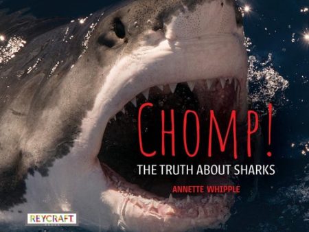 Chomp! the Truth about Sharks For Cheap