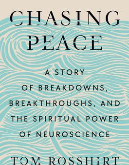 Chasing Peace: A Story of Breakdowns, Breakthroughs, and the Spiritual Power of Neuroscience Cheap