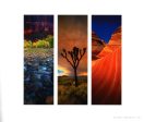 Natural Wonders: A Panoramic Vision Online Hot Sale