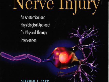 Peripheral Nerve Injury: Anatomical Hot on Sale