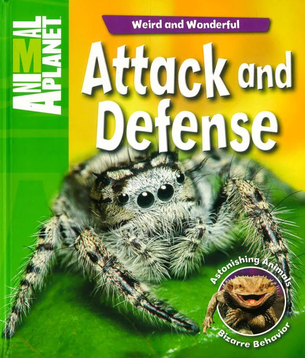 Animal Planet: Attack And Defense Fashion